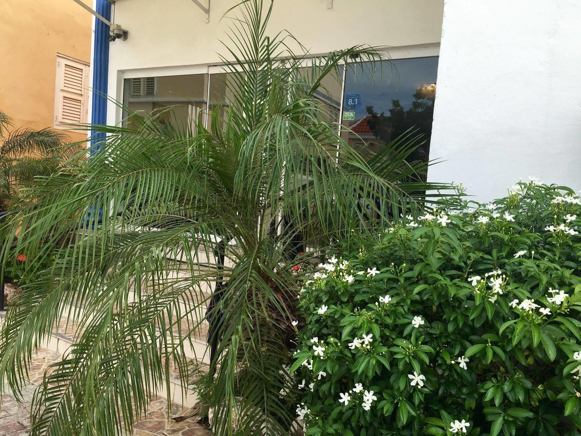 Curacao Suites Hotel Willemstad Eksteriør billede